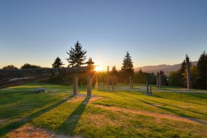 Burnaby implants